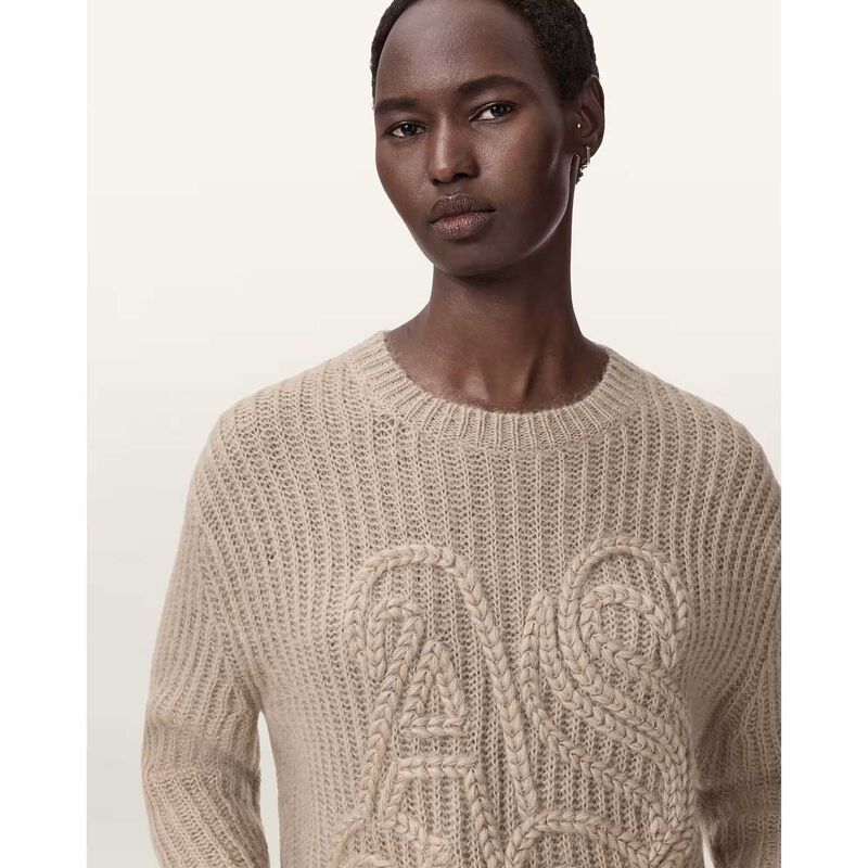 AllSaints Chain Embroidered Jumper image number 2